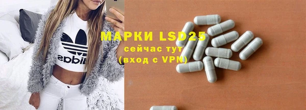 дмт Вяземский