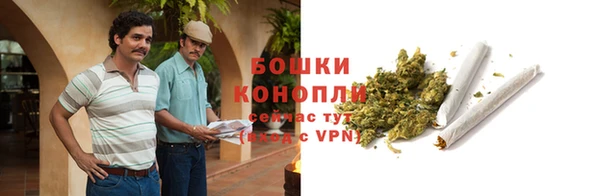 дмт Вяземский