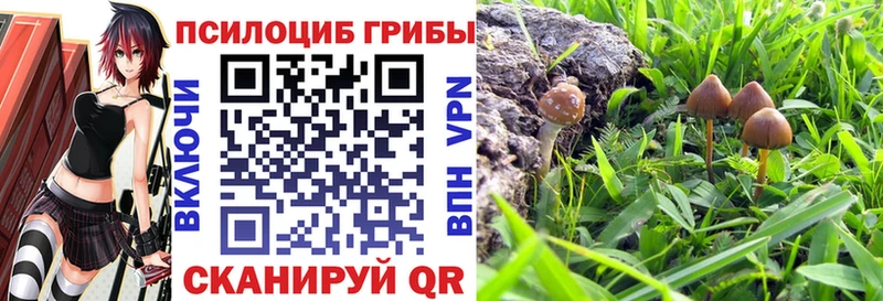 Галлюциногенные грибы ЛСД  купить  цена  Дальнегорск 