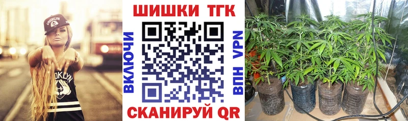 Шишки марихуана индика  Дальнегорск 
